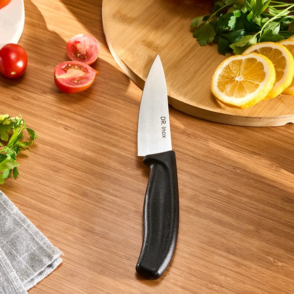 Dr. Inox Stainless Steel Chef's Knife, 25cm, Black