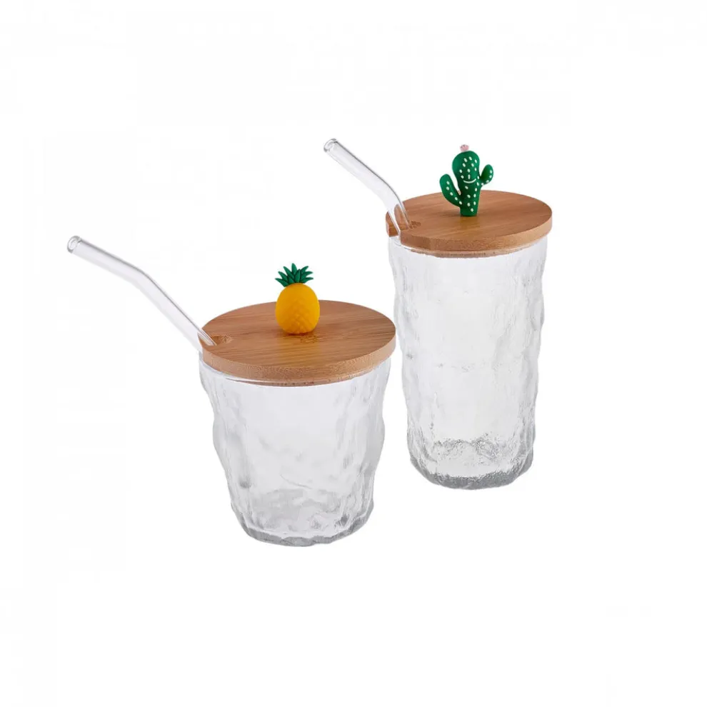 Karaca Glacier 2 Piece Glass Set with Straws, Transparent Multi