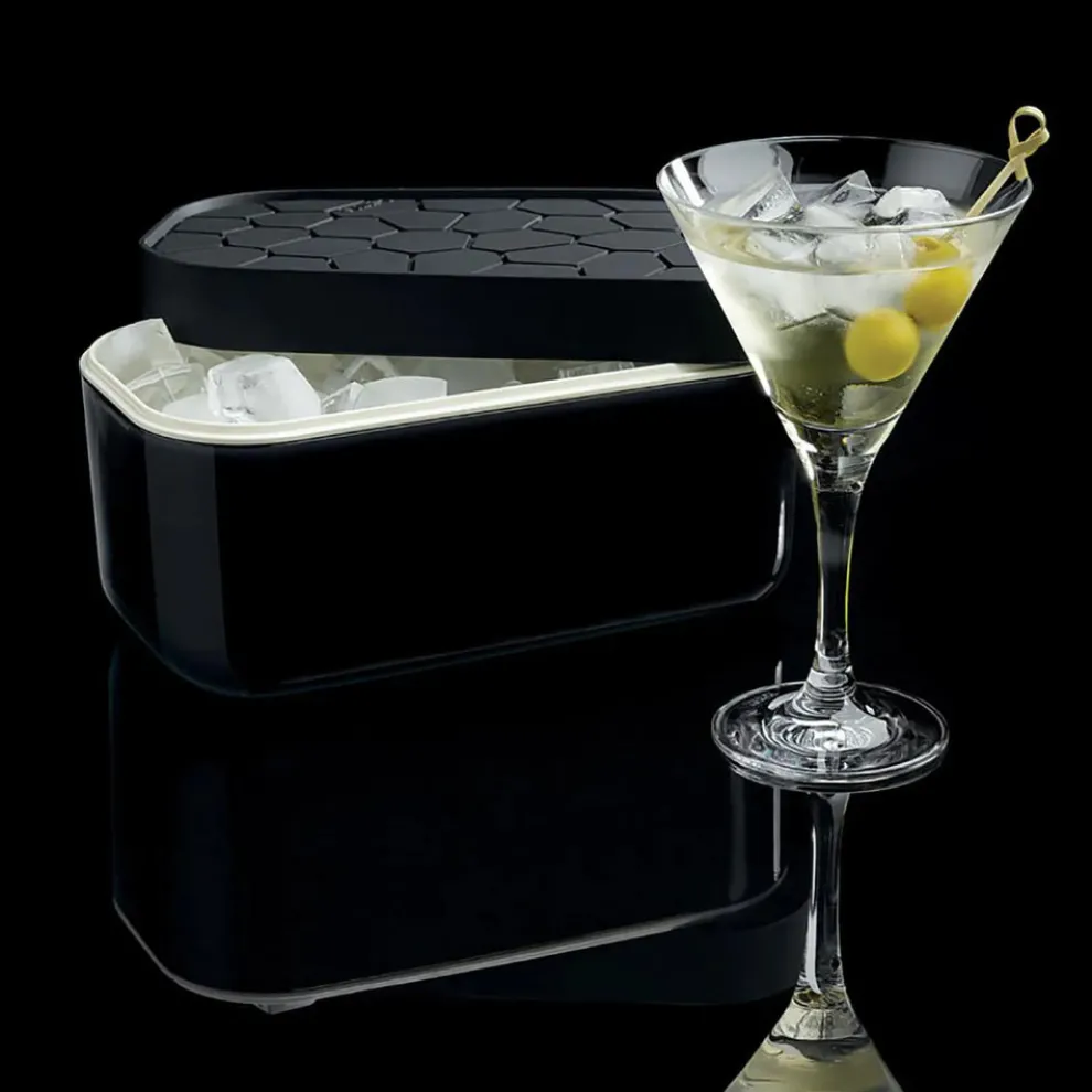 Lèkuè Ice Cube Box, 22.5cmx12.5cmx11.6cm, Black