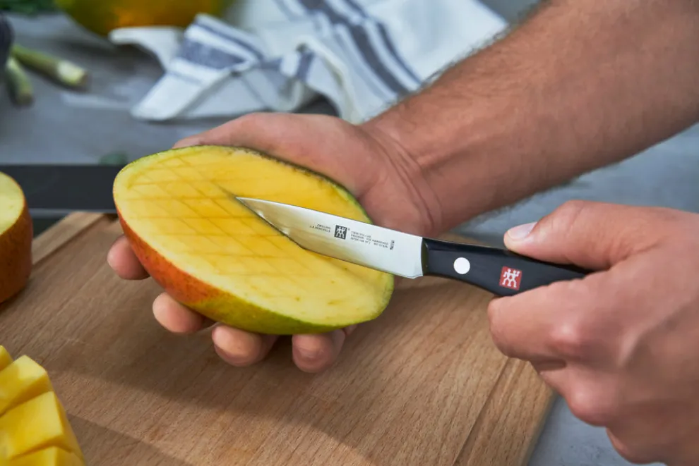 Zwilling Twin P. Paring Knife, 10c, Grey